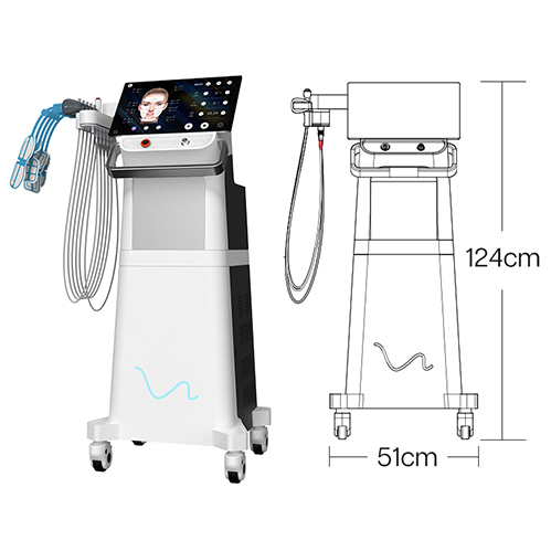 Renaface Ems Face Machine