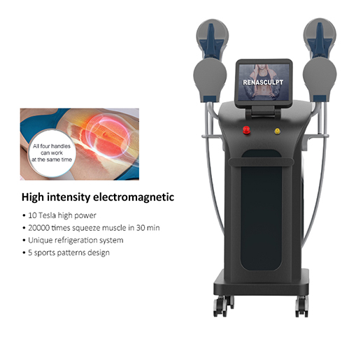 Renasculpt FE30 Electromagnetic 2 In 1 HIEMT EMS Sculpting Machine